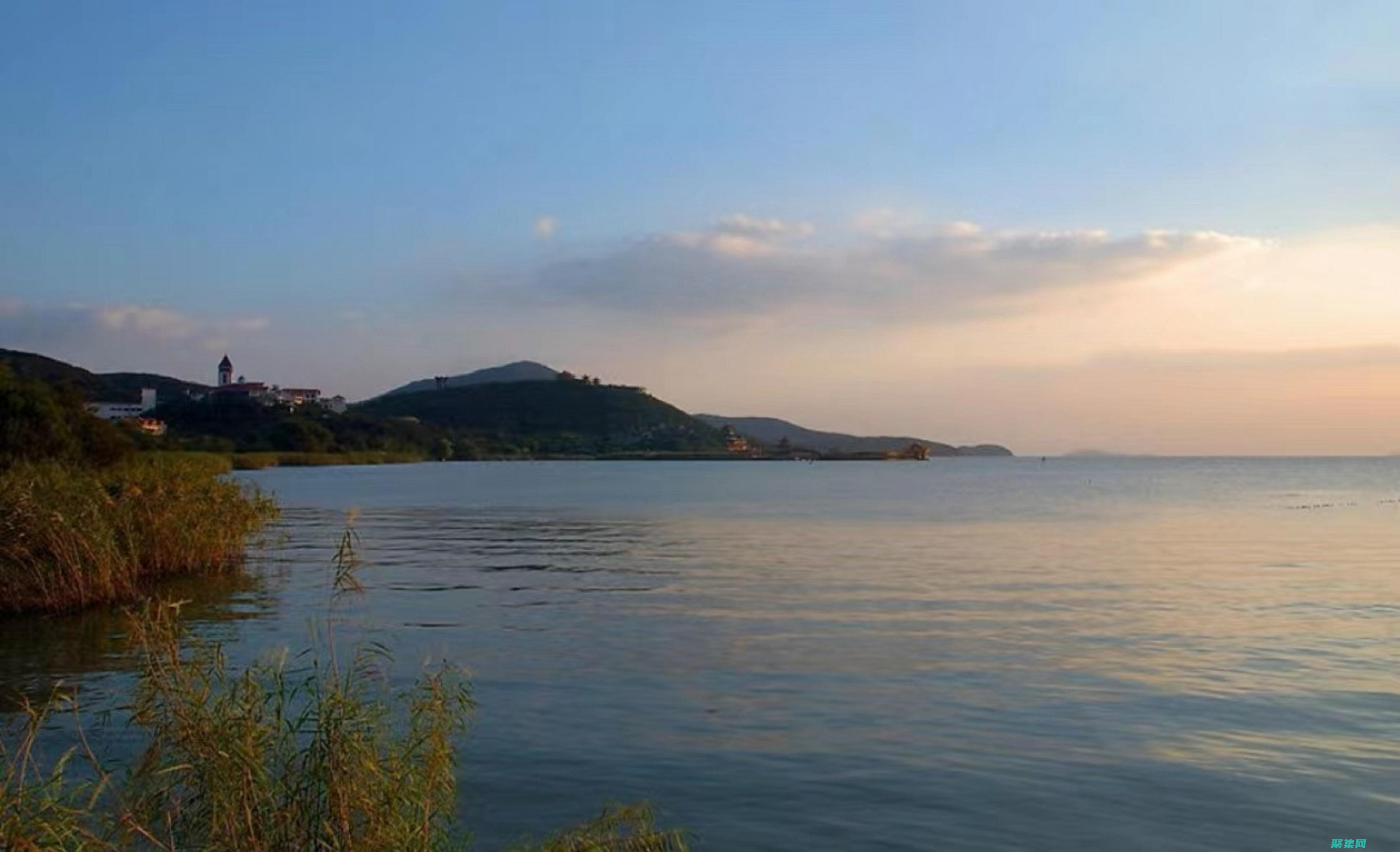 揭秘背后的驚人真相