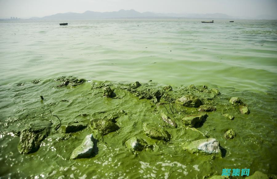 湖水的異常現象：暴風雨后，有人在湖面上發現了一條長長的黑線。一些人認為，這條黑線可能是船只下沉時留下的痕跡，但這一說法尚未得到證實。 (湖水有什么樣的特點)