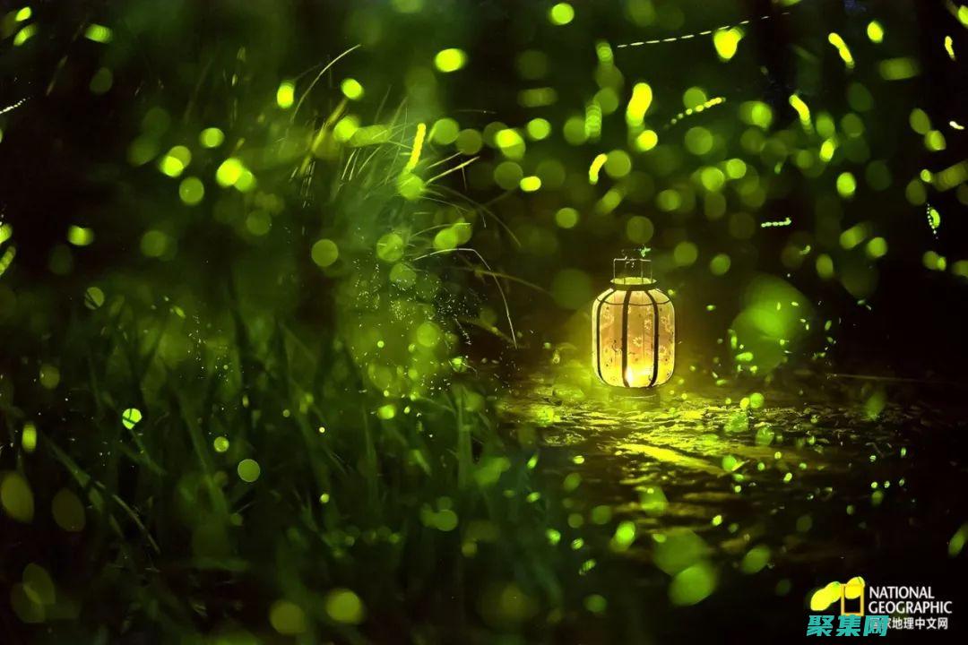 療愈傷痛：如月車站事件受害者及其家屬的康復之路 (治愈療傷)