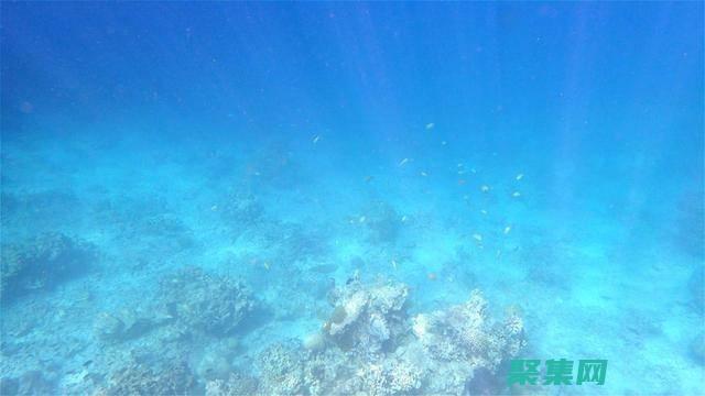 海洋深處的驚人發現