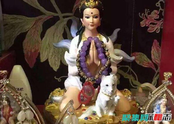 狐妖迷蹤與附體傳聞