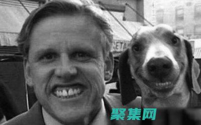 微笑的狗恐怖原圖的心理影響：它如何撼動我們的恐懼 (微笑的狗恐怖事件圖片)