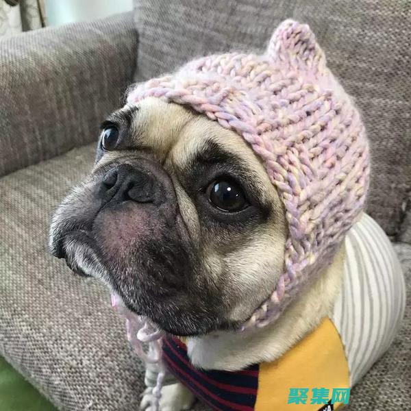 探索微笑的狗恐怖原圖的文化意義：它在集體無意識中的作用 (探索微笑的狗是什么狗)