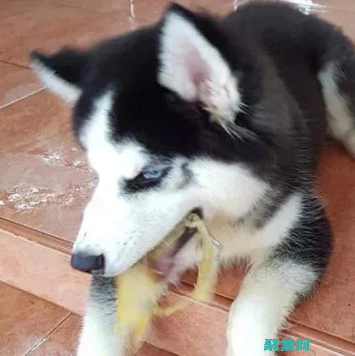 它在集體無意識作用