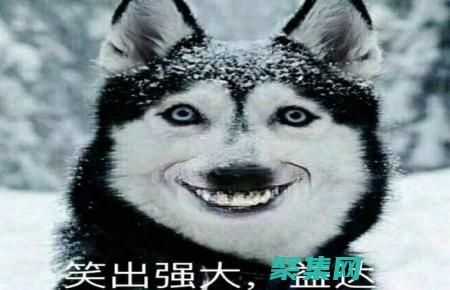 微笑的狗恐怖原圖：真實與虛構之間的界限 (微笑的狗恐怖原圖 嚇人)