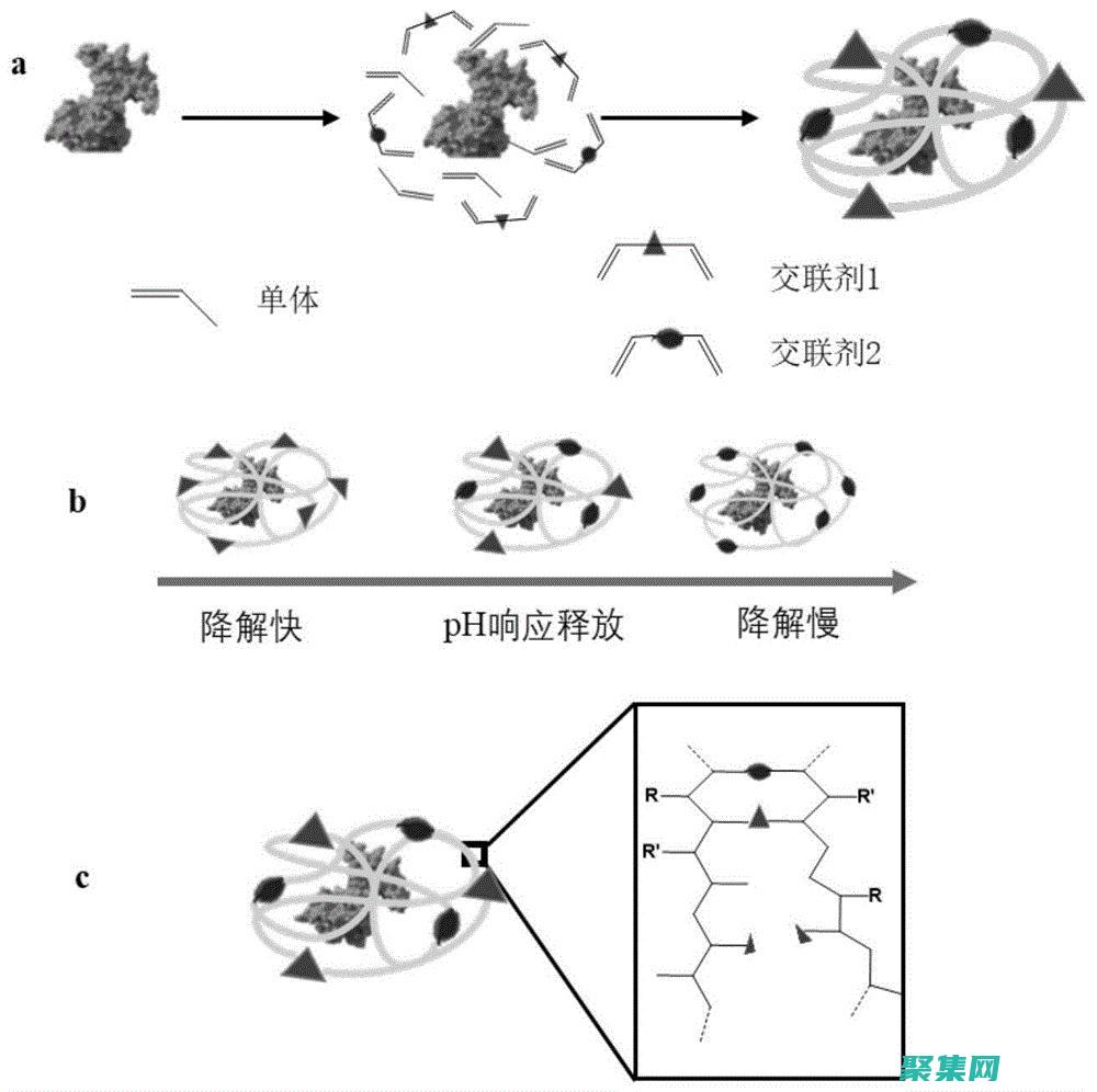 釋放 Java 編程的力量，盡情享受免費學習的樂趣 (java如何釋放對象)
