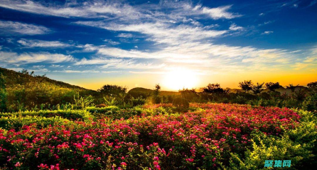 優化您的旅游網站，提高轉換率：體驗我們的定制旅游網站源碼 (優化您的旅游資源)