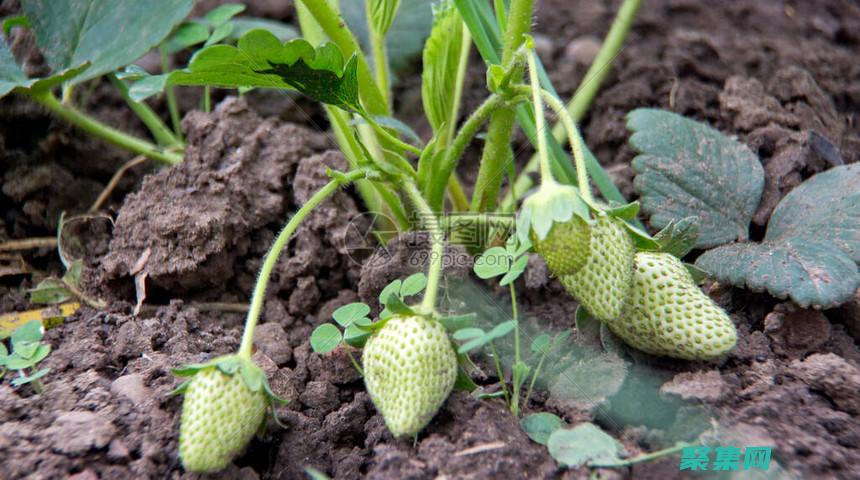 令人驚嘆的網頁鼠標特效代碼：用魔法點亮你的網站 (令人驚嘆的網名)