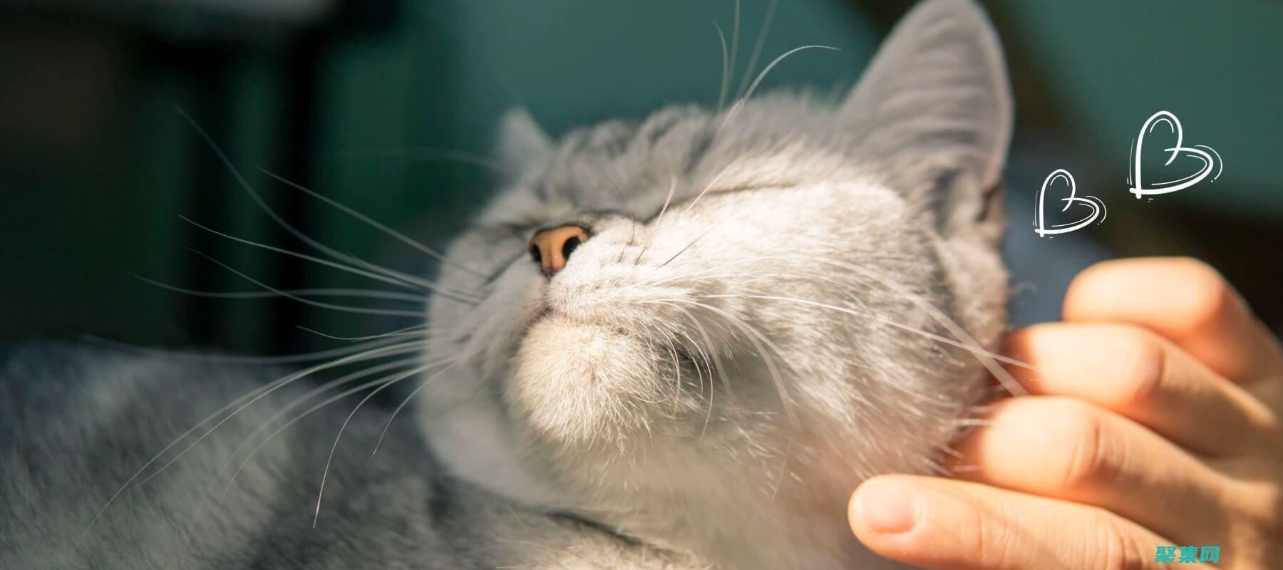 剖析網站的優缺點