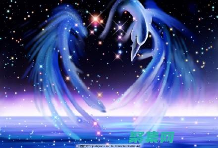 織夢免費下載：釋放您的網站創意，無成本無限制 (織夢下載站)