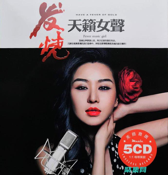 為發燒友打造的媒體播放器：終極的音視頻播放解決方案 (請為發燒)