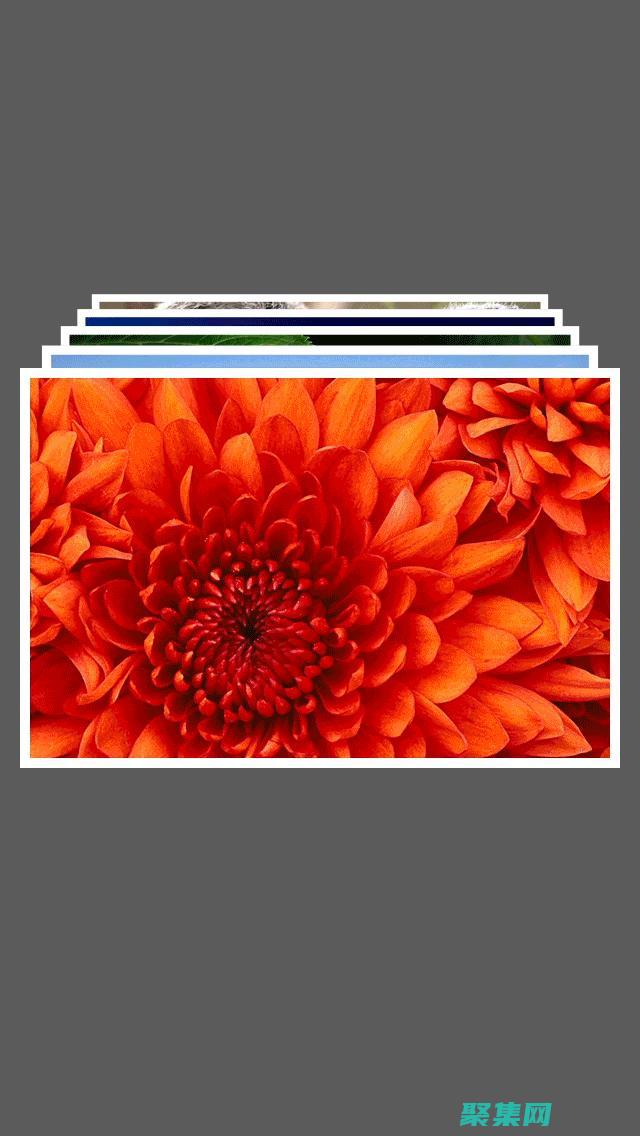 確保所有用戶都能輕松瀏覽