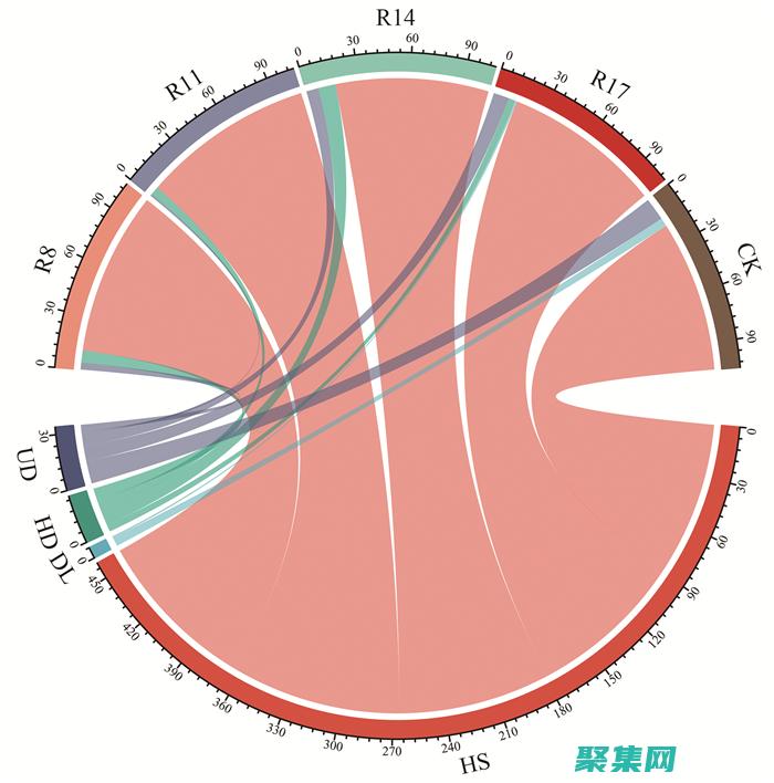 隨機性與確定性的交織：Random函數在計算機科學中的作用 (隨機性與確定性微生物群落如何作圖)