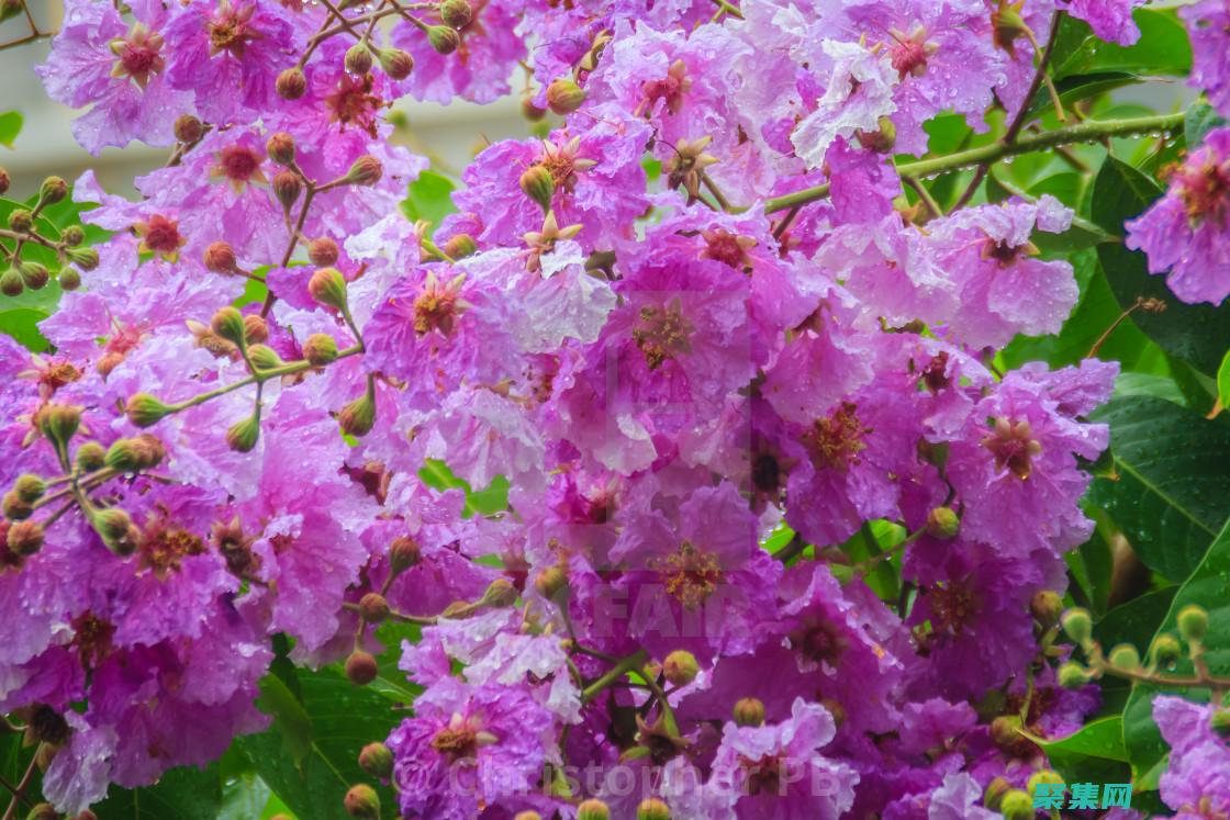 底層數據庫操作類