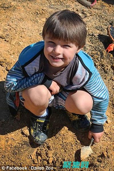 探索 Java 編程的奧秘：一本全面的電子書，助你掌握 Java (探索Java的無限魅力)