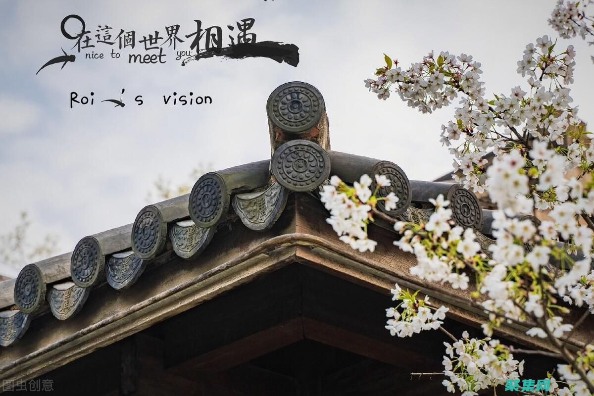 優化網站盈利能力：巧用浮動廣告代碼最大化廣告收入潛力 (優化網站盈利模式)