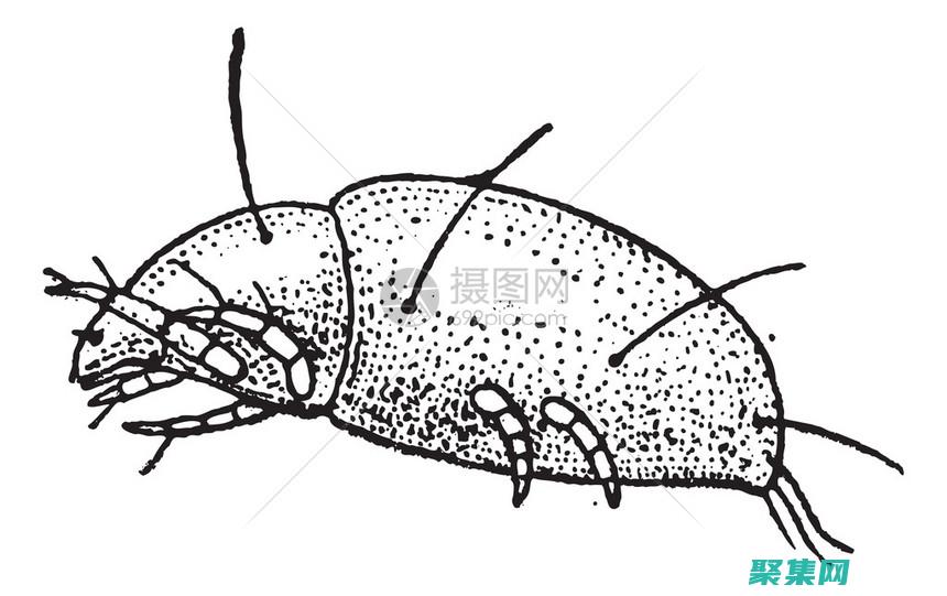 在銷毀時調用的函數