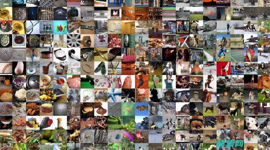 圖像分類的挑戰：理解圖像背后的含義 (圖像分類的挑戰)