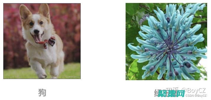 圖像分類的挑戰