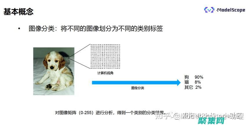 圖像分類的挑戰