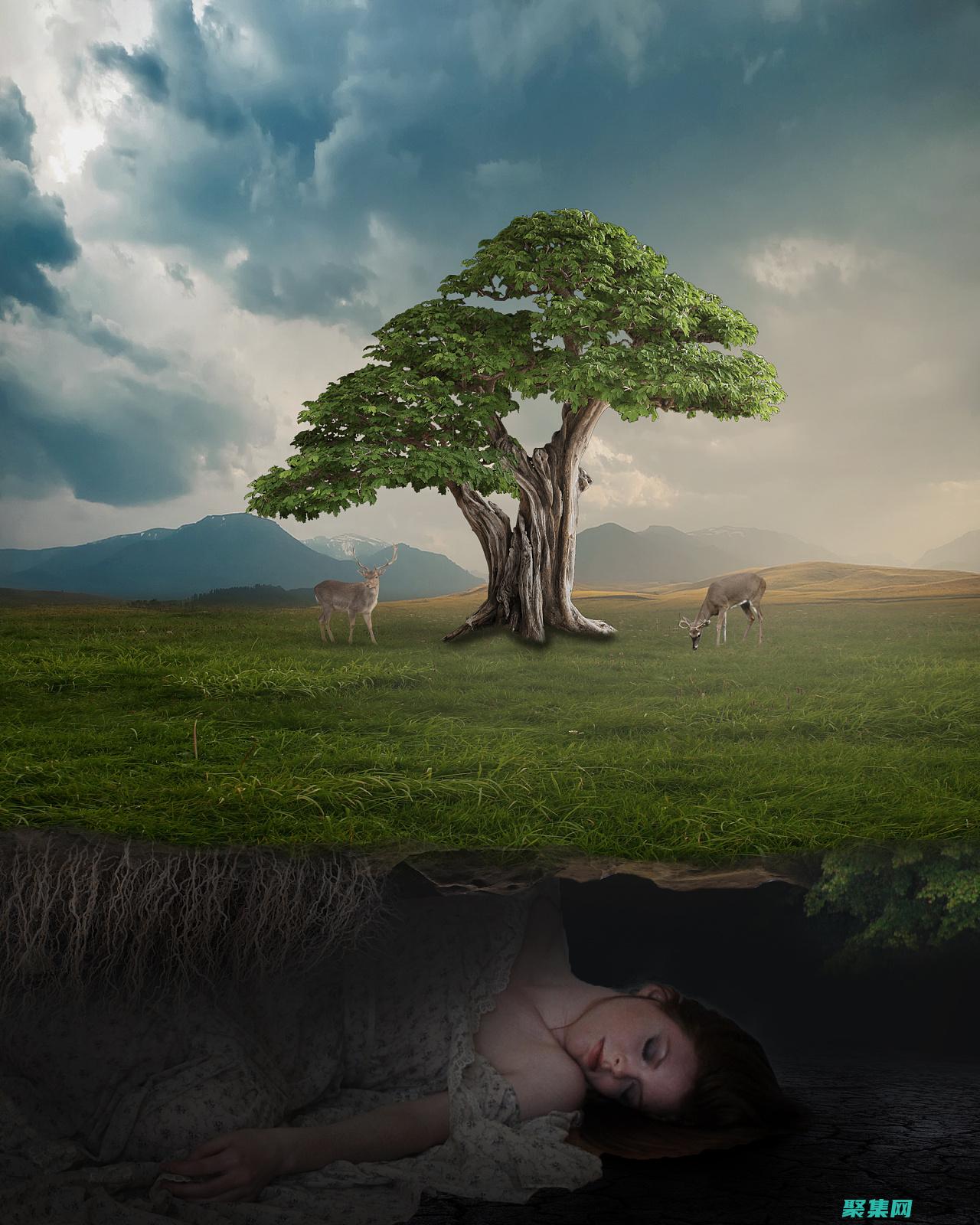 圖像合成技術：從真實圖片創建逼真的圖像 (圖像合成技術思維導圖)