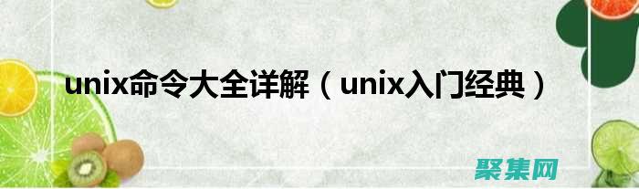 UNIX 網絡套接字編程：構建強大的網絡應用程序 (UNIX網絡編程)
