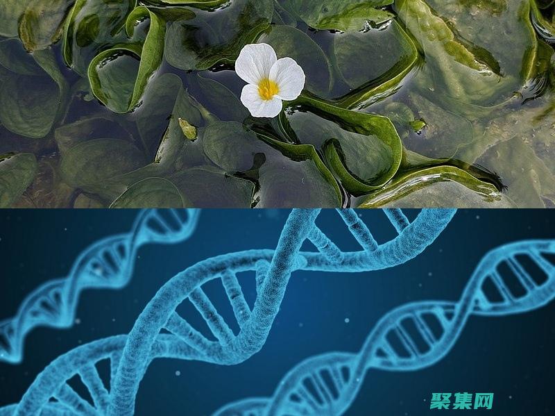 下一代產品開發