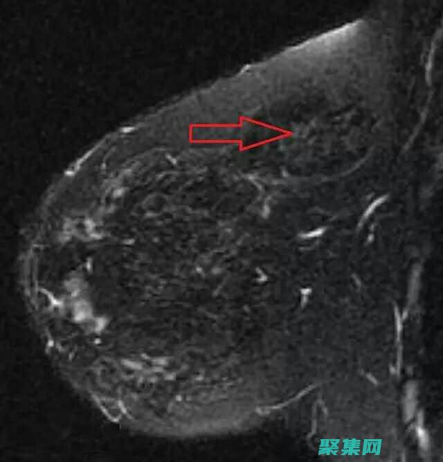 手把手教你構建專業網站：全面的織夢建站指南 (手把手教你構建自己的Linux系統)