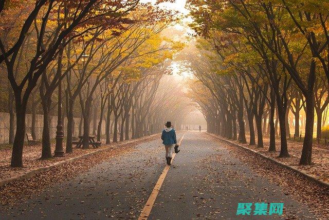 vb程序設計初學者指南