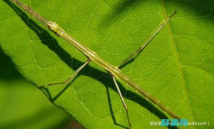 隱藏式導航的秘密