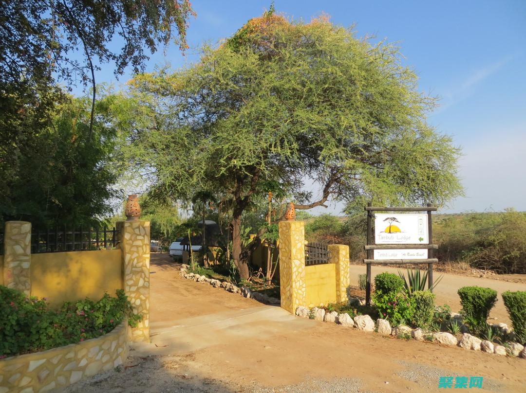 Roundup函數的最佳實踐：避免陷阱，確保數據準確無誤 (roundup函數是什么意思)