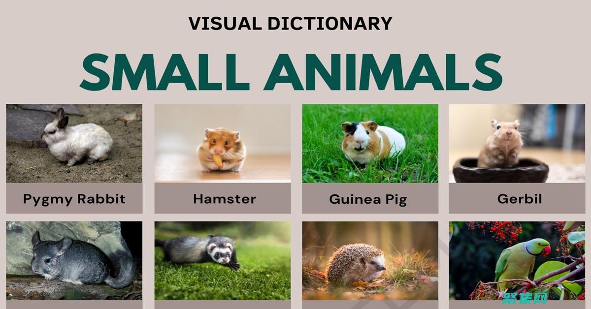 small 函數指南：釋放 JavaScript 中數字處理的潛力 (small函數excel)