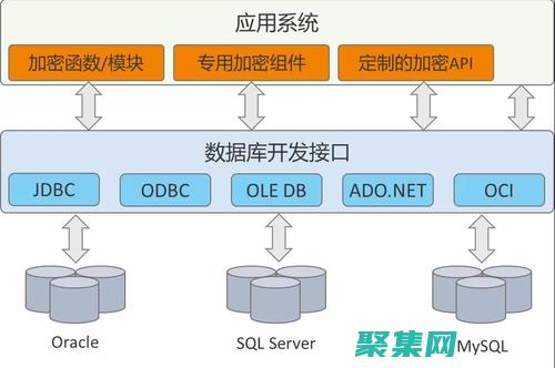 數據庫加密：確保靜態和傳輸中的數據安全 (數據庫加密方式)