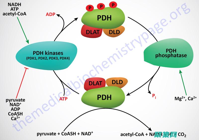 pthreadcancel() 函數：深入理解線程取消 (pthread_create)