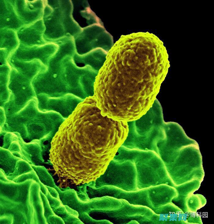 為什么file會失敗