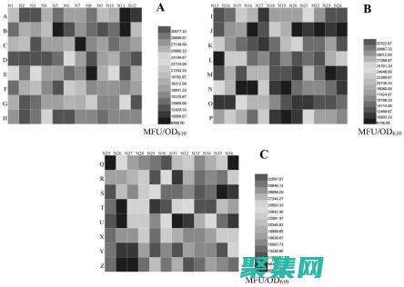 探索 fprintf 的強大功能：在 C 中控制輸出格式 (探索后媽的桃花源作文)