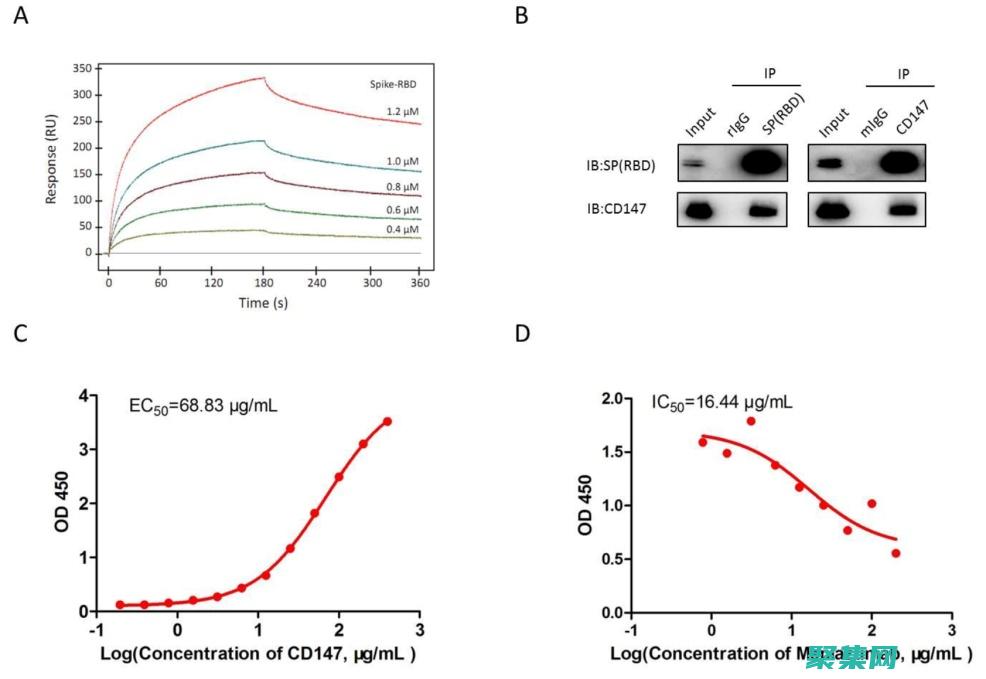 函數輕松格式化
