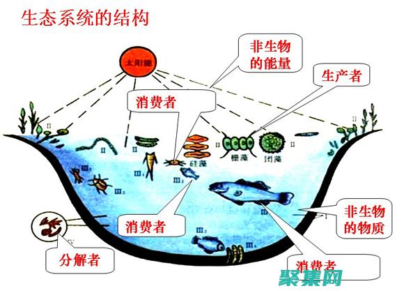 生態系統的滅亡：環境退出背后的毀滅性力量 (生態系統的滅菌原理)