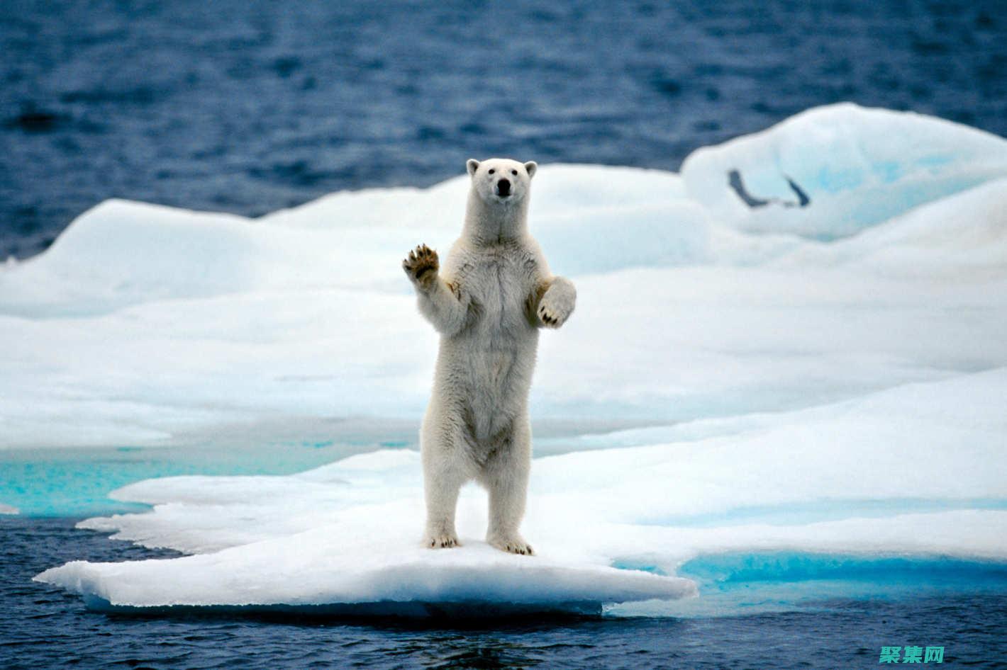 應對環境退出的社會影響