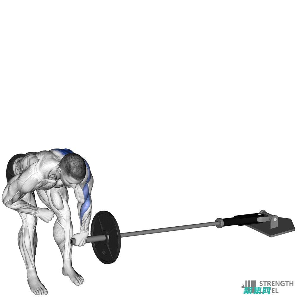 Rowspan: 為 HTML 表格單元格跨越多行的新選擇。 (rowspan和colspan屬性)