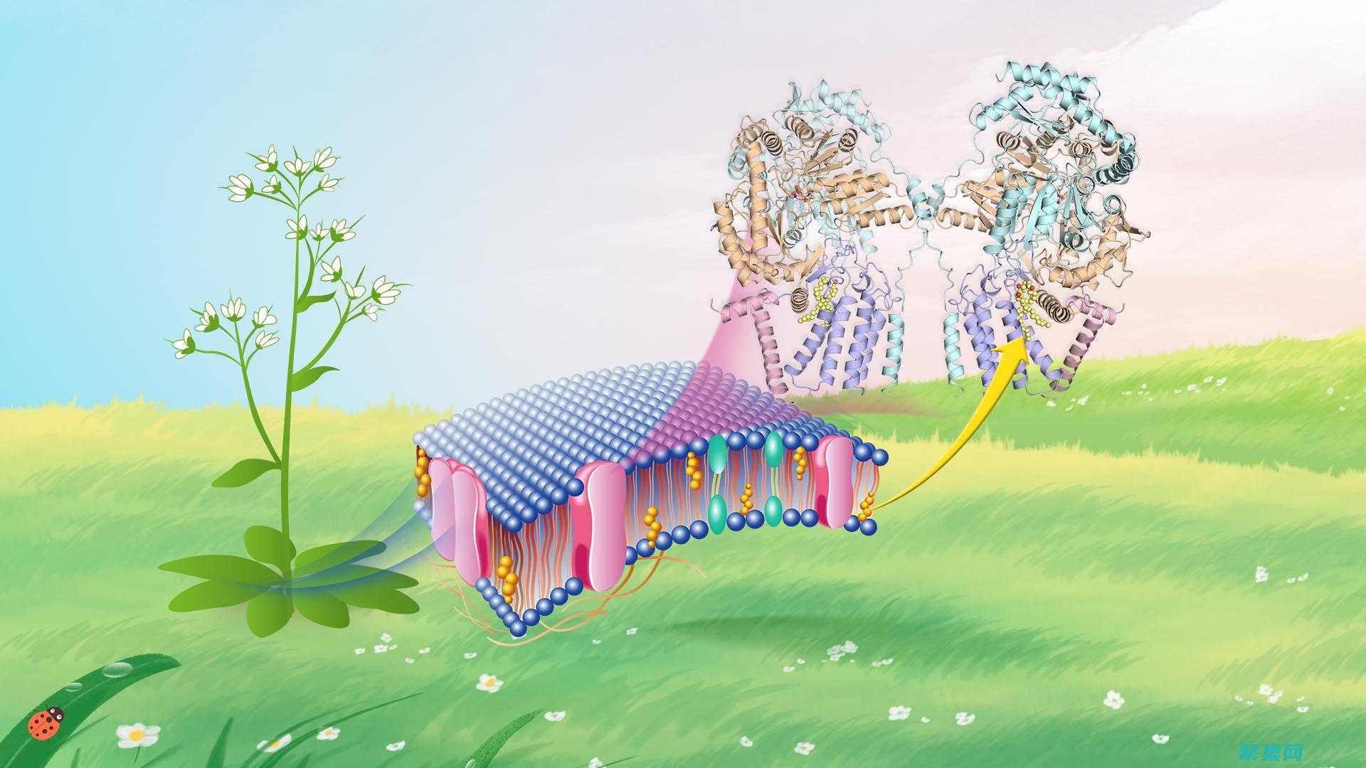 揭示 Ragel 的高級特性，提升您的狀態機編程水平 (揭示燃燒現象的科學家是)