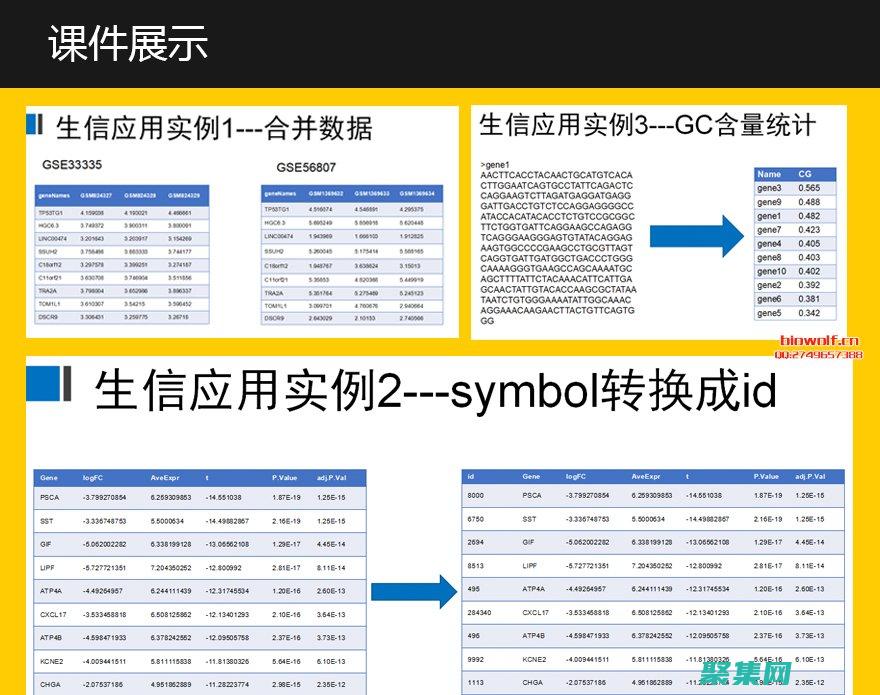 探索其和局限性