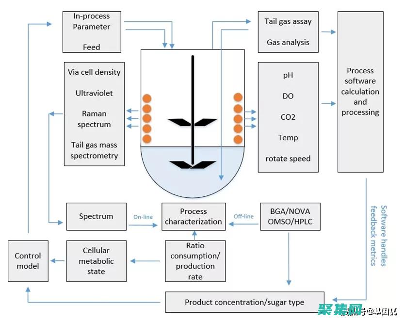 解決常見挑戰和疑惑