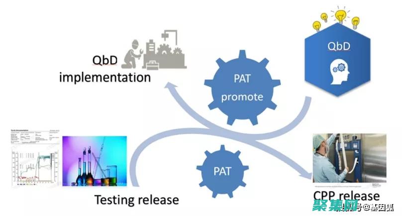 Patsubst 常見問題解答：解決常見挑戰和疑惑 (patsubst函數)