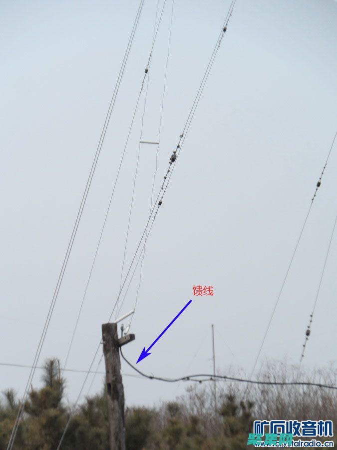 天線設計與選擇