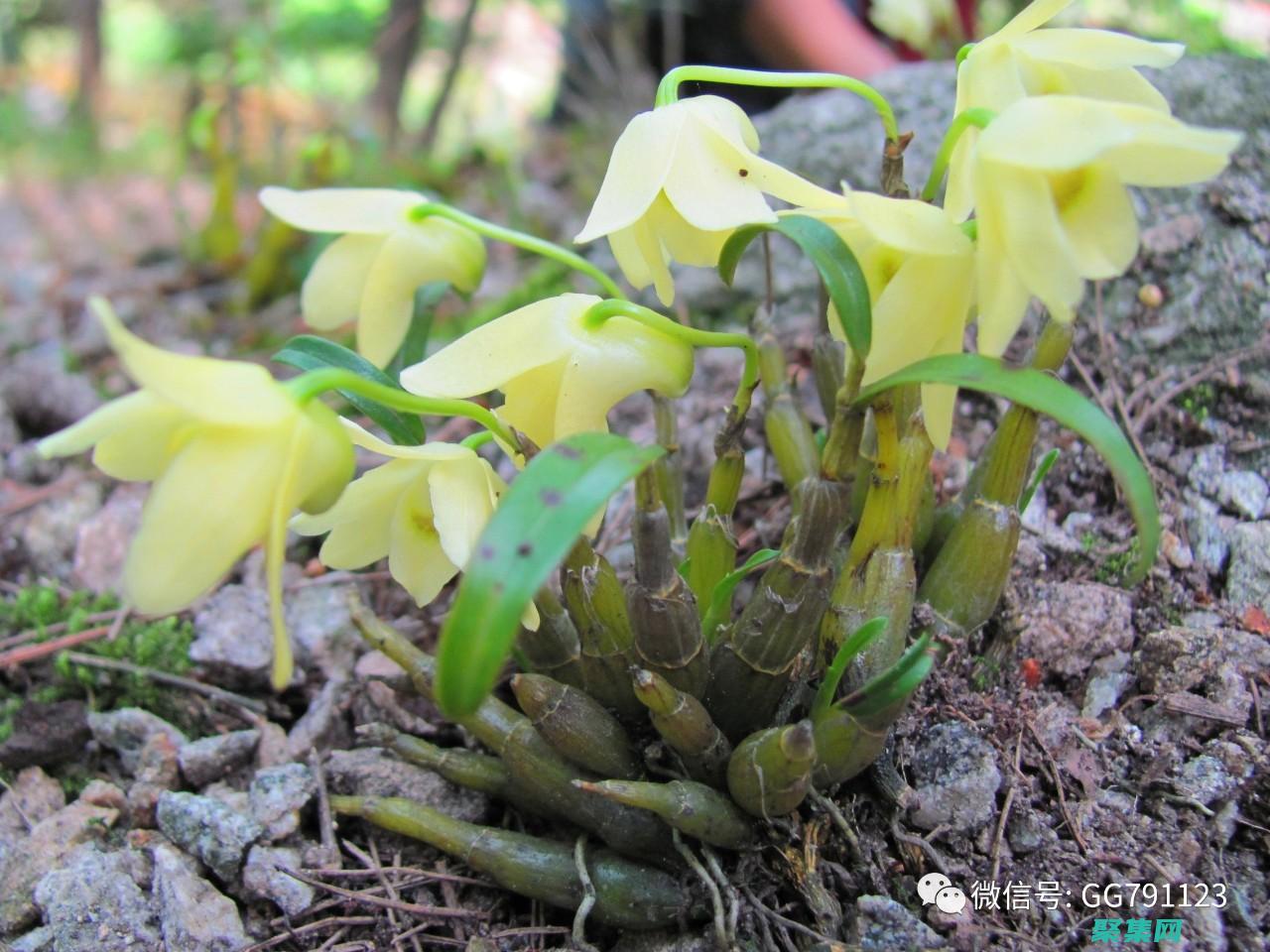 Shiftdim輕松應對多維數組的維度整理