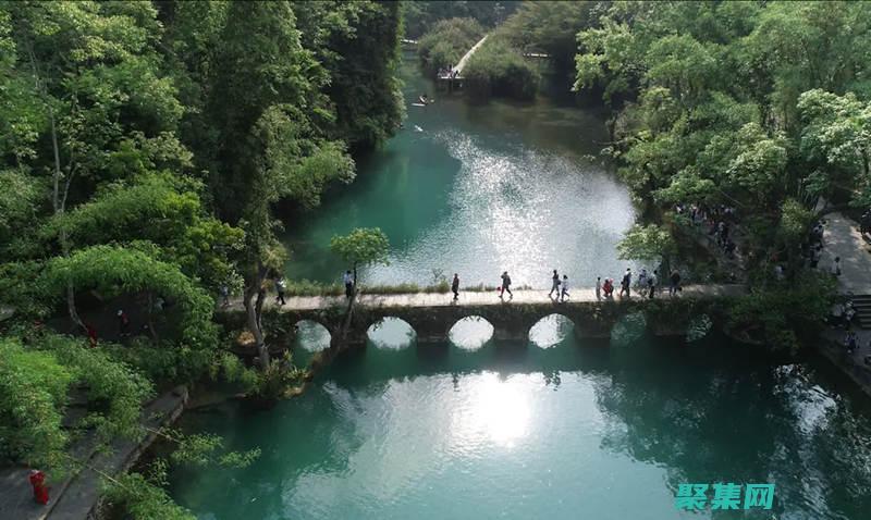 從初學者到專家的終極