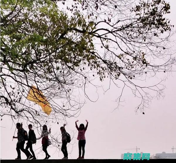 快速可靠的下載app