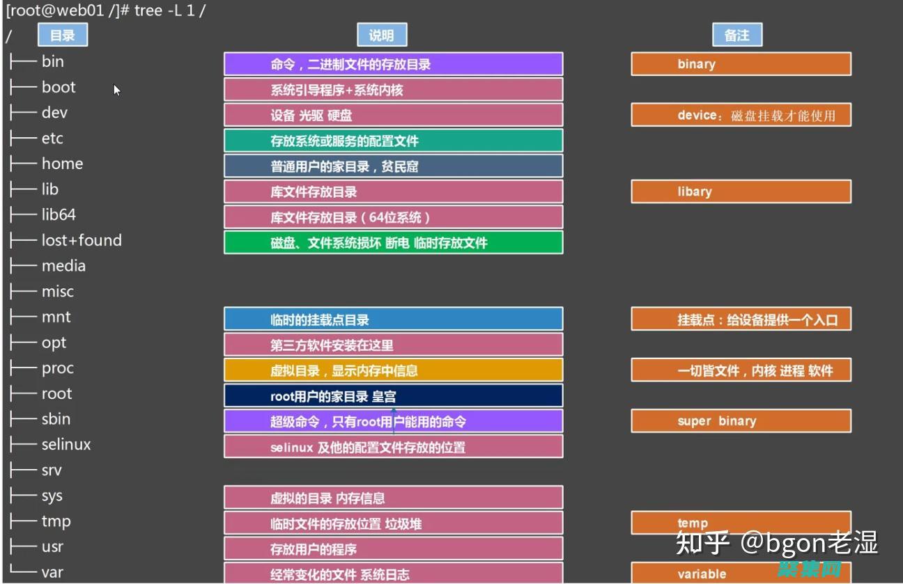 釋放底層目錄的力量