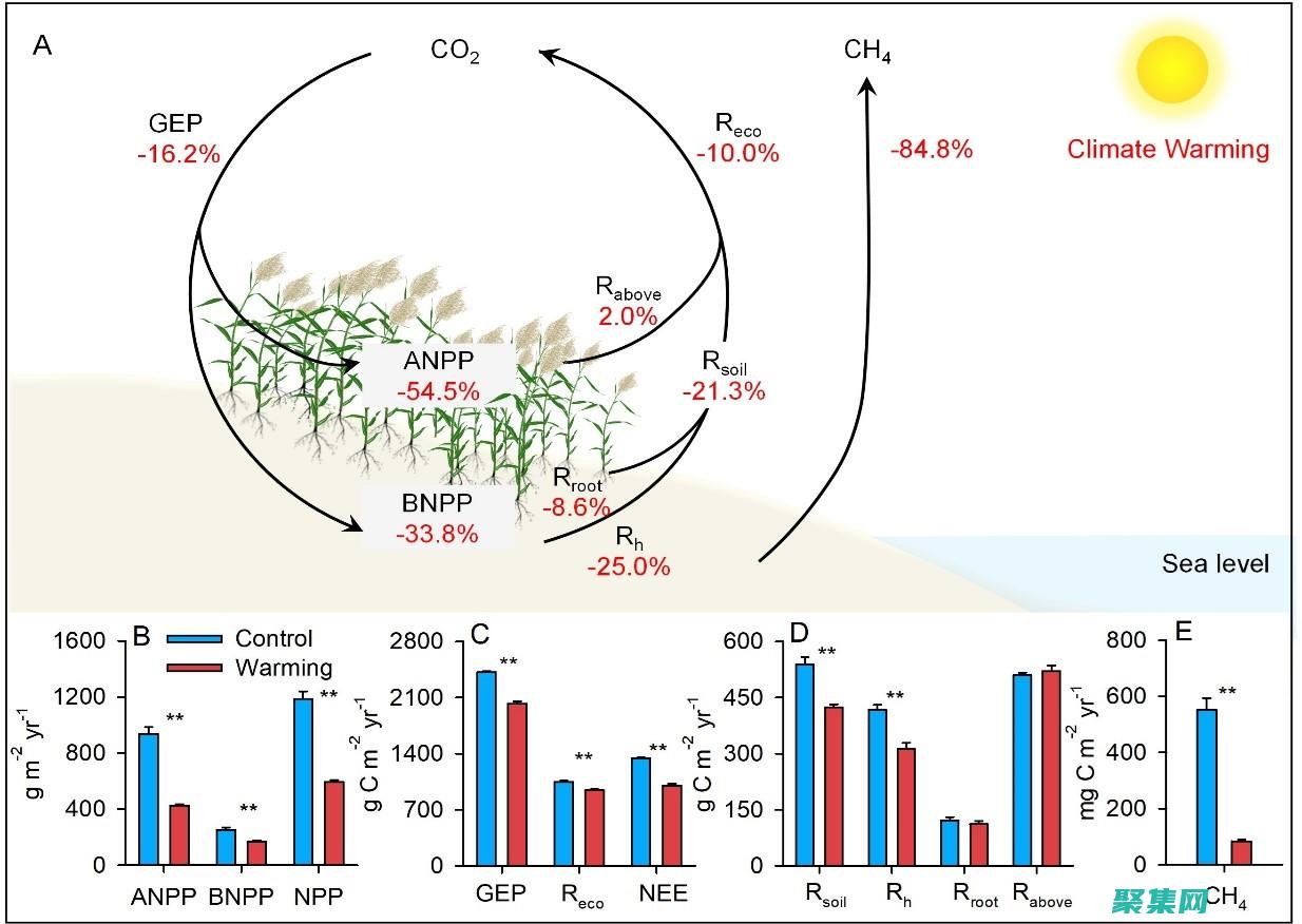 揭示的嚴峻現實